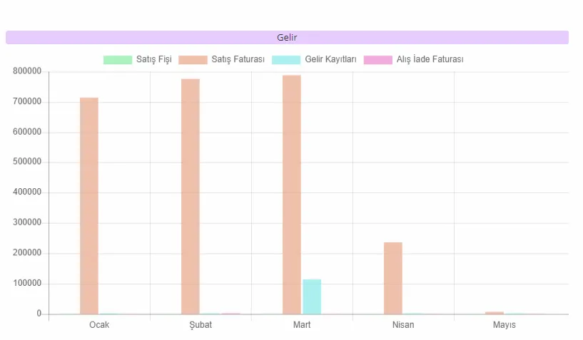Gelir Gider Raporlama